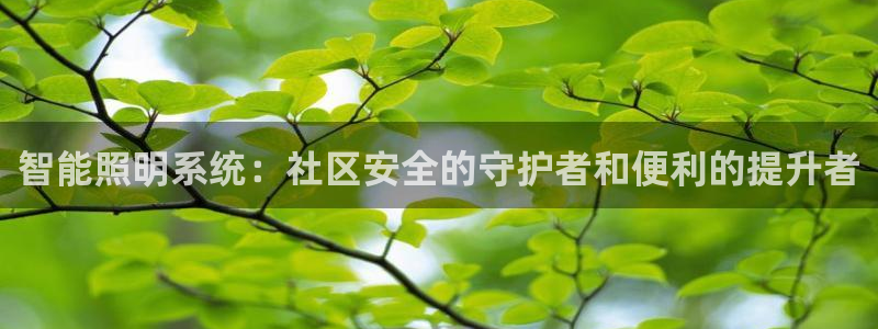 云顶国际app官网下载安装
