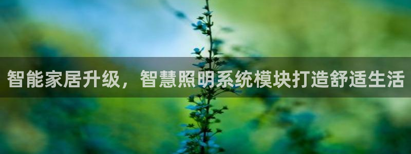云顶集团3118app功能