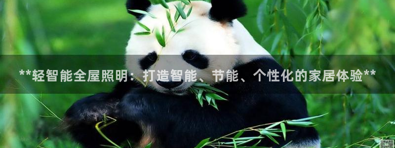 云顶国际中国官方网站入口