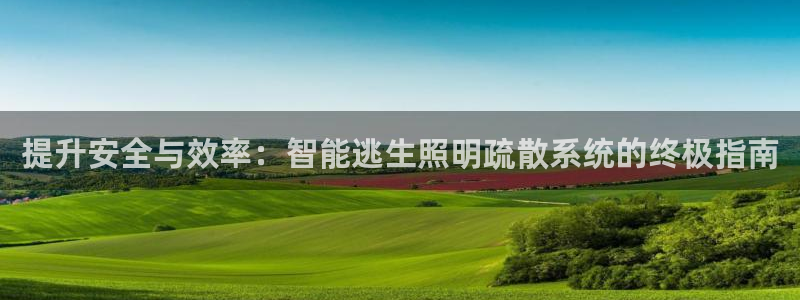 云顶t00