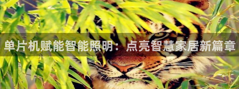 云顶国际官网app下载安卓