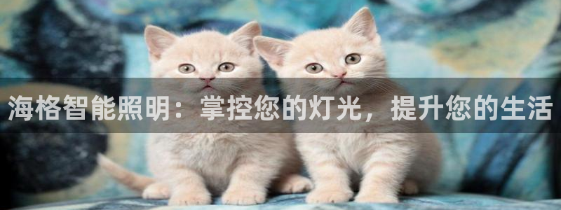 云顶国际pg网站官网