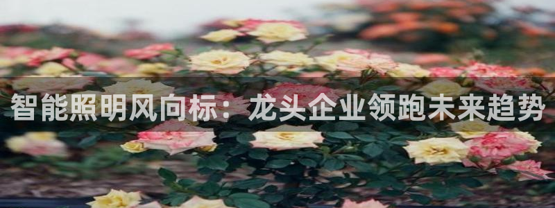 云顶国际服如何调中文