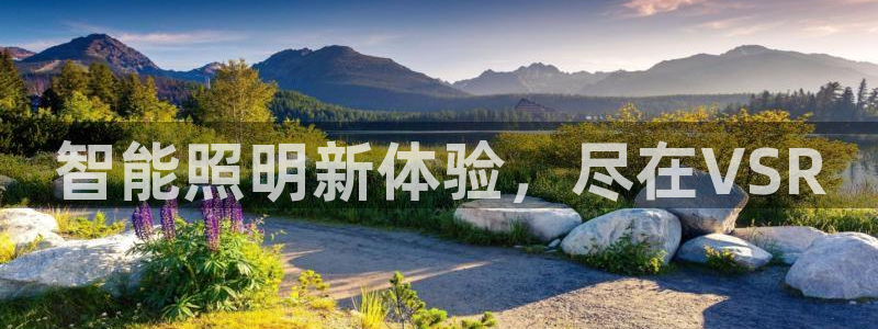 云顶国际平台违法吗?
