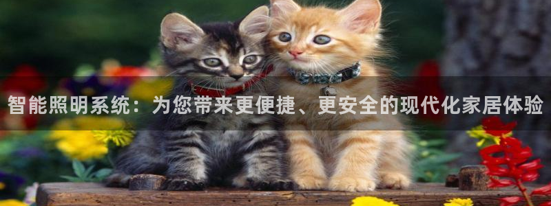 云顶国际大酒店是几星级