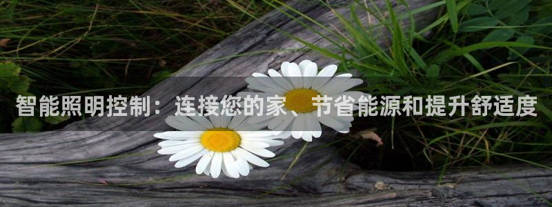 云顶国际休闲会所