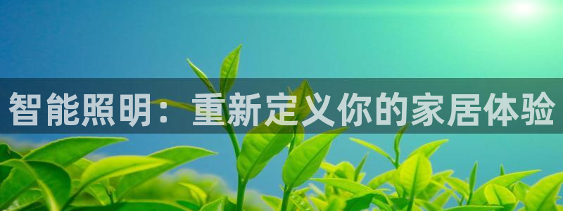 云顶国际服修改不了传说装备