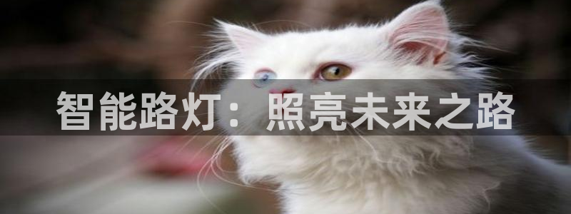 云顶国际足球app下载