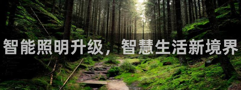 云顶国际服服务端错误