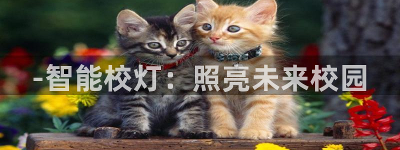 云顶官网·com
