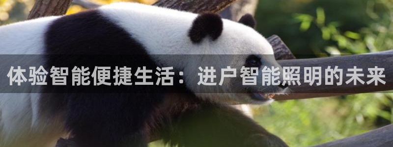云顶国际的网址是多少啊