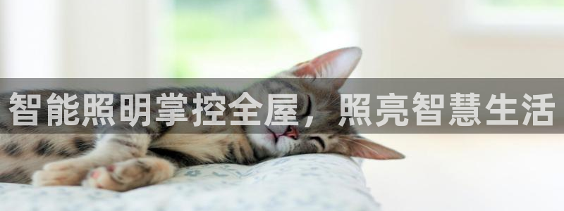 云顶最新线路检测