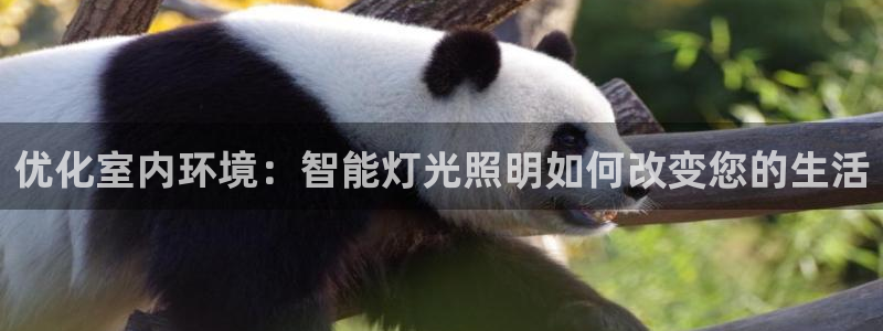 怎么下载云顶国际服