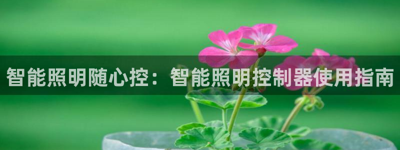 云顶国际能提现吗