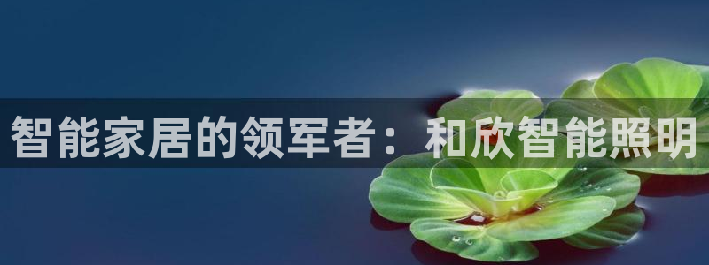 云顶国际怎么进不去了