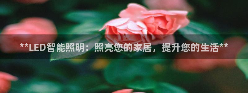 云顶国际城手机网址