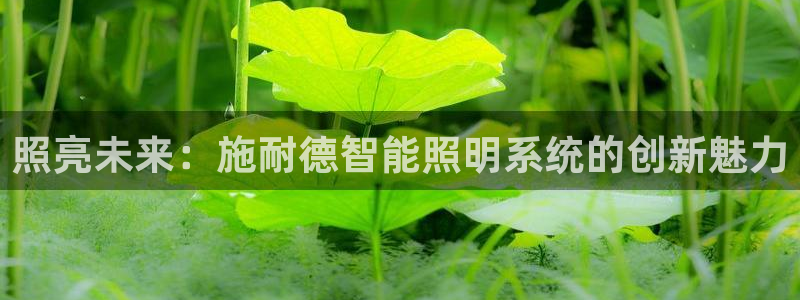 云顶国际服手游