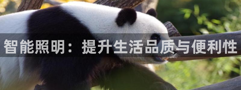 云顶国际公馆怎么样