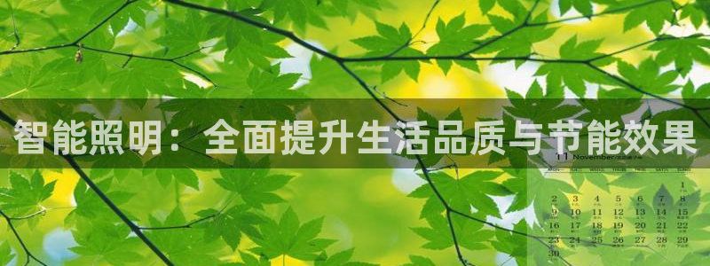 云顶国际是什么公司