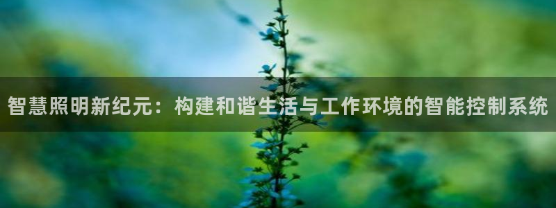云顶国际平台怎么样