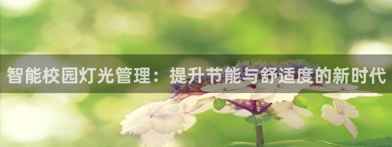 云顶国际投资有限公司怎么样