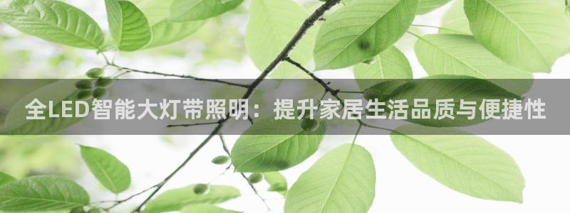 云顶zhi