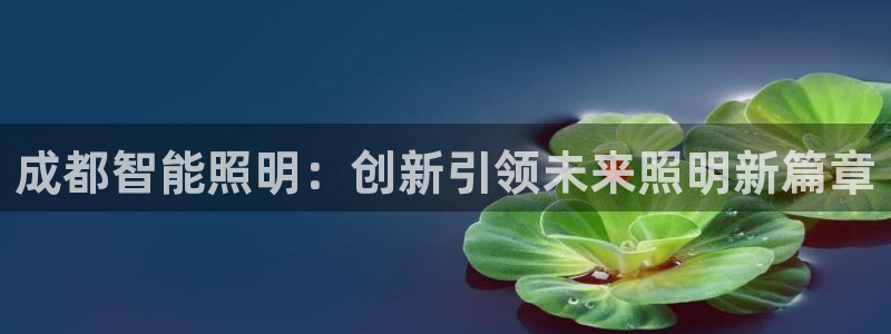 云顶电子游戏网站