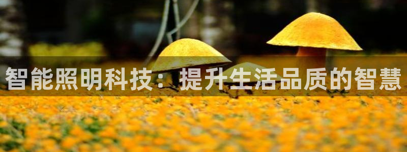 云顶国际前台电话号码