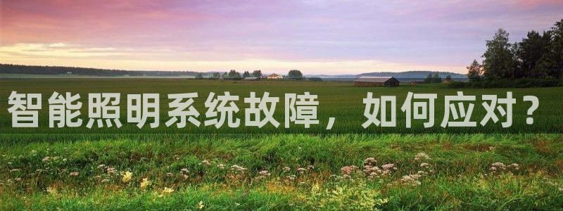 云顶国际服充值：智能照明系统故障，如何应