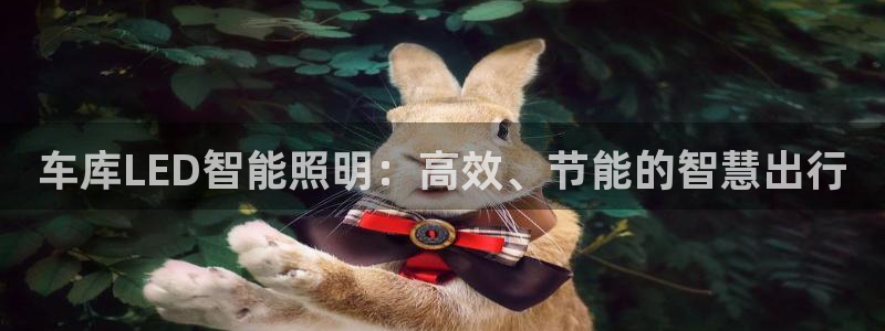 云顶国际麻将胡了多少张牌