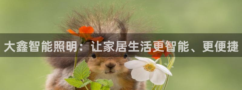 云顶国际下载