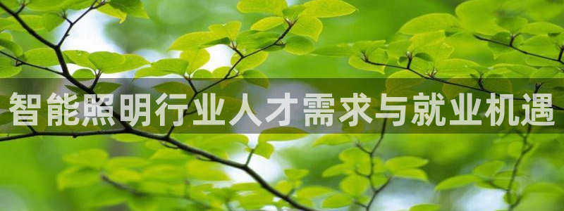 云顶国际黑不黑：智能照明行业人才需求与就