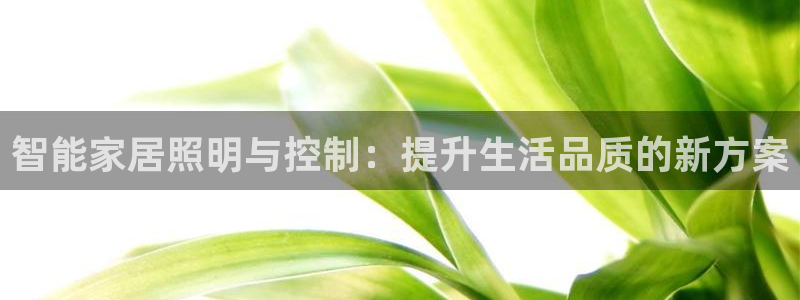 云顶国际足球app下载安装：智能家居照明