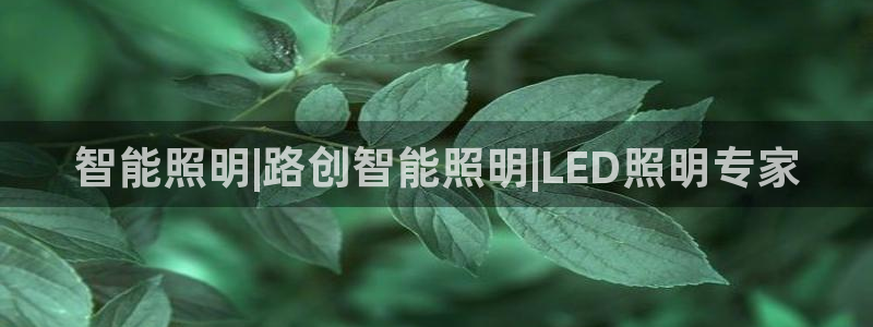 云顶国际商业广场 可以停车吗