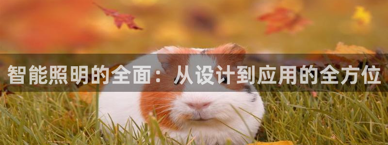 云顶国际威尼斯