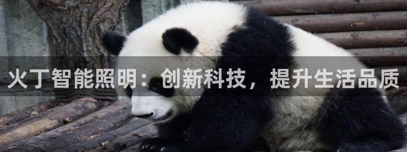 云顶国际app免费下载安卓