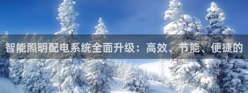 云顶国际晟荣协会高峰