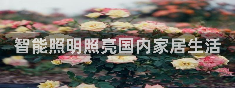 云顶国际酒店位置在哪