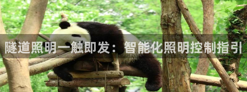 云顶国际集团官网招聘