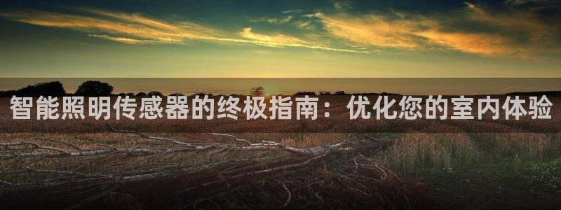 国际服端游云顶在哪下载