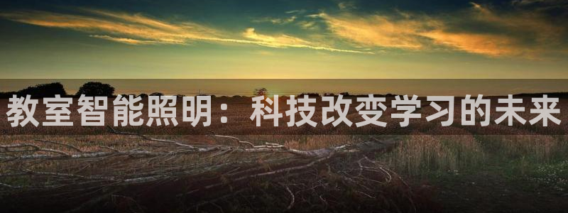 云顶国际app官网