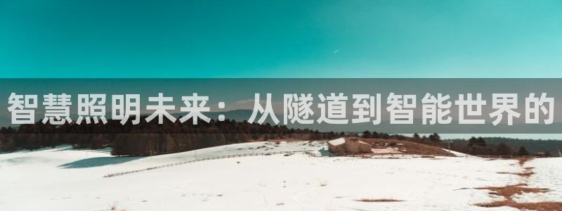 云顶集团有限公司简介地址