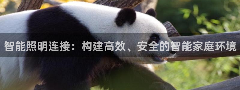 云顶国际公馆是公寓吗还是住宅