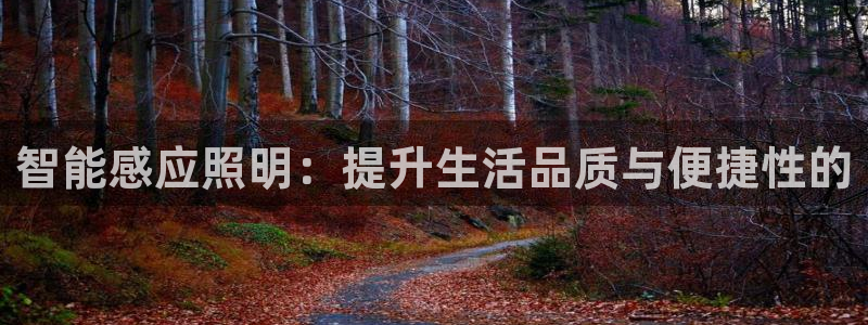 云顶国际服S9什么时候更新