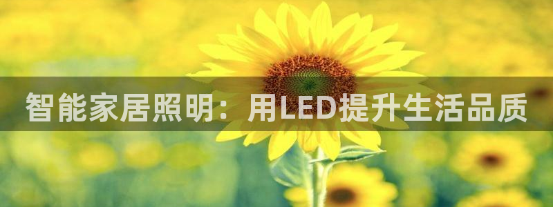 云顶国际商业广场a座101室