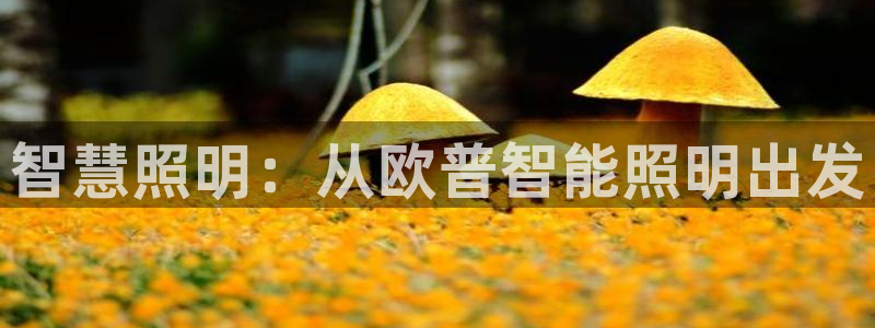 云顶国际服修改不了传说装备