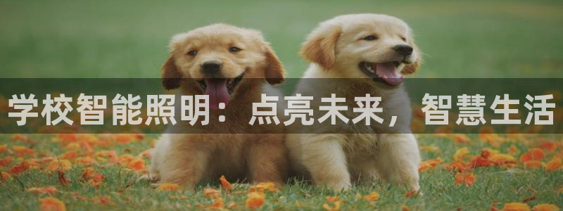 云顶国际官网官方下载